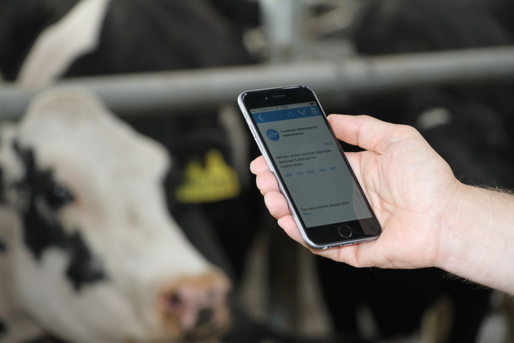 Technische Hilfsmittel rund um die Kuh :: BW agrar online -  landwirtschaftliche Informationen für Baden-Württemberg 
