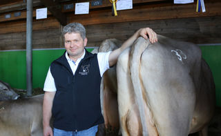 Hörner gehören zur Kuh – auch im Laufstall :: BW agrar online -  landwirtschaftliche Informationen für Baden-Württemberg 