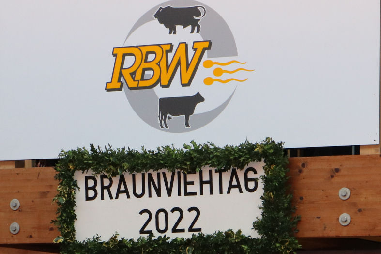 Hörner gehören zur Kuh – auch im Laufstall :: BW agrar online -  landwirtschaftliche Informationen für Baden-Württemberg 